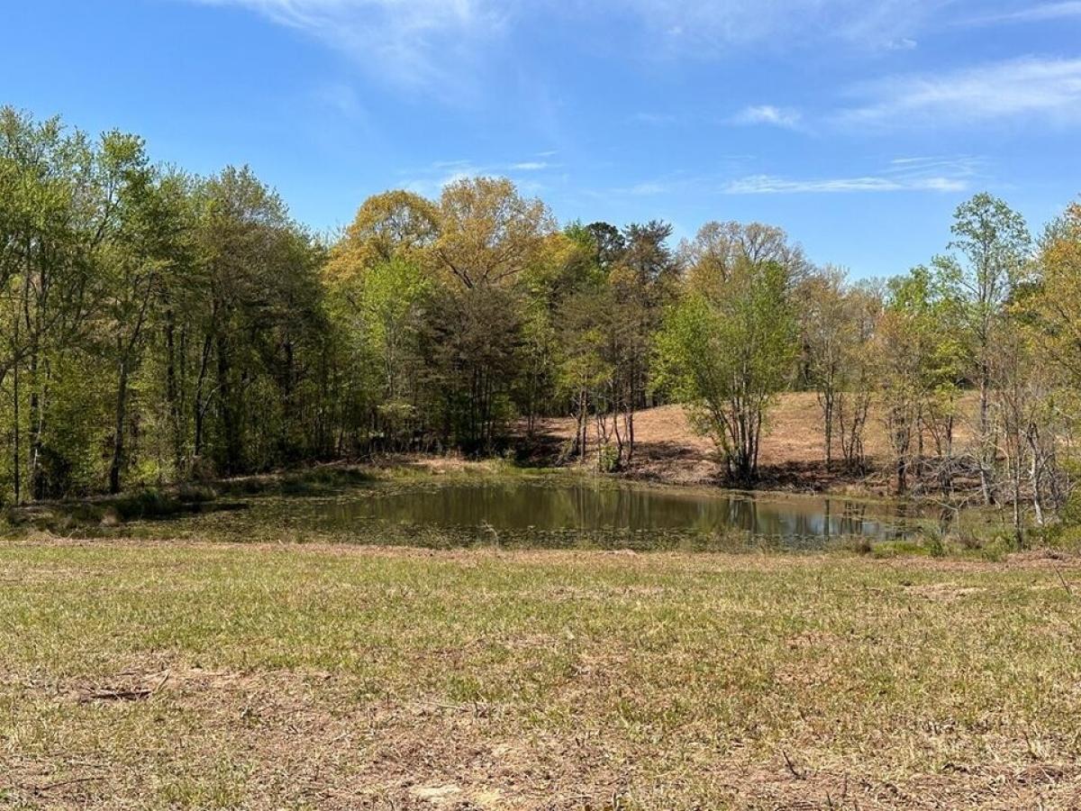 Picture of Residential Land For Sale in Jamestown, Tennessee, United States