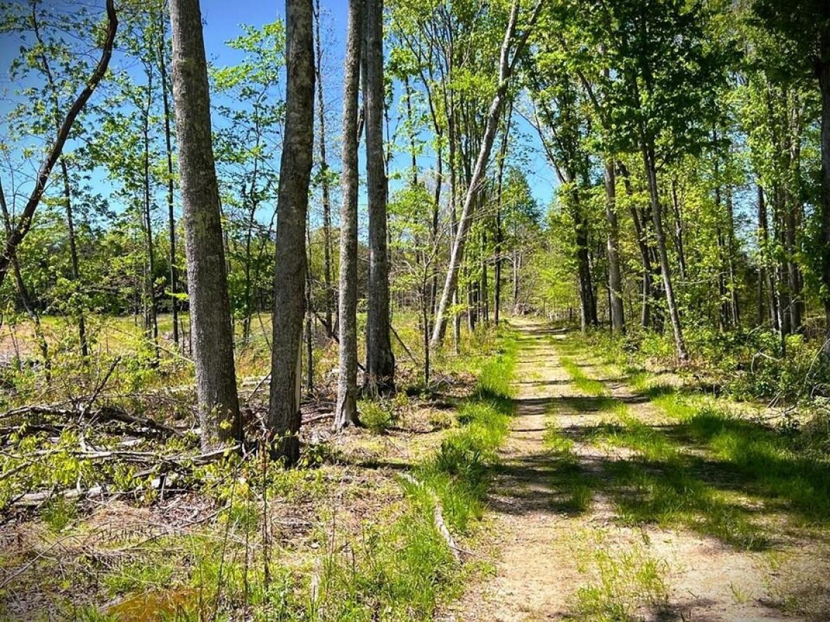 Picture of Residential Land For Sale in Cookeville, Tennessee, United States