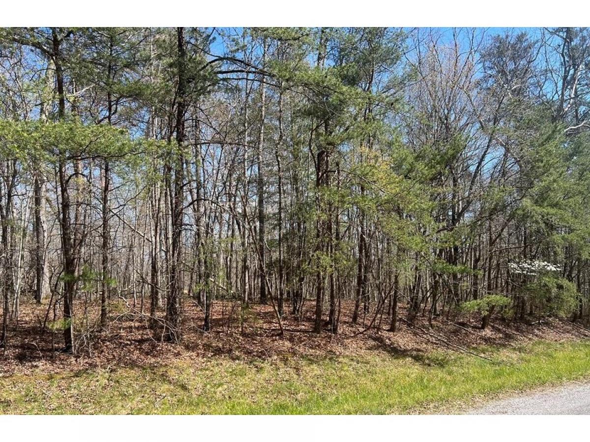 Picture of Residential Land For Sale in Monterey, Tennessee, United States