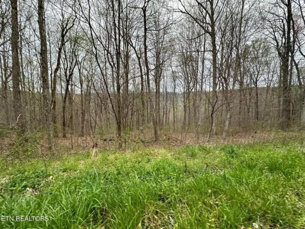 Picture of Residential Land For Sale in Jamestown, Tennessee, United States