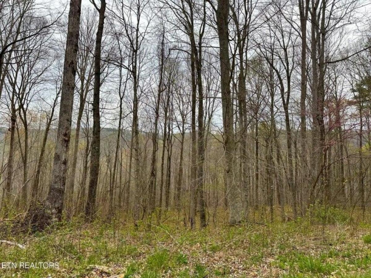 Picture of Residential Land For Sale in Jamestown, Tennessee, United States