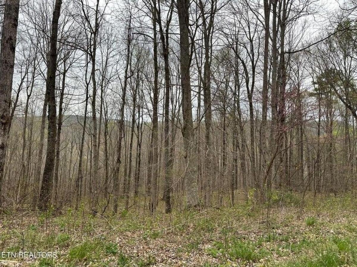 Picture of Residential Land For Sale in Jamestown, Tennessee, United States