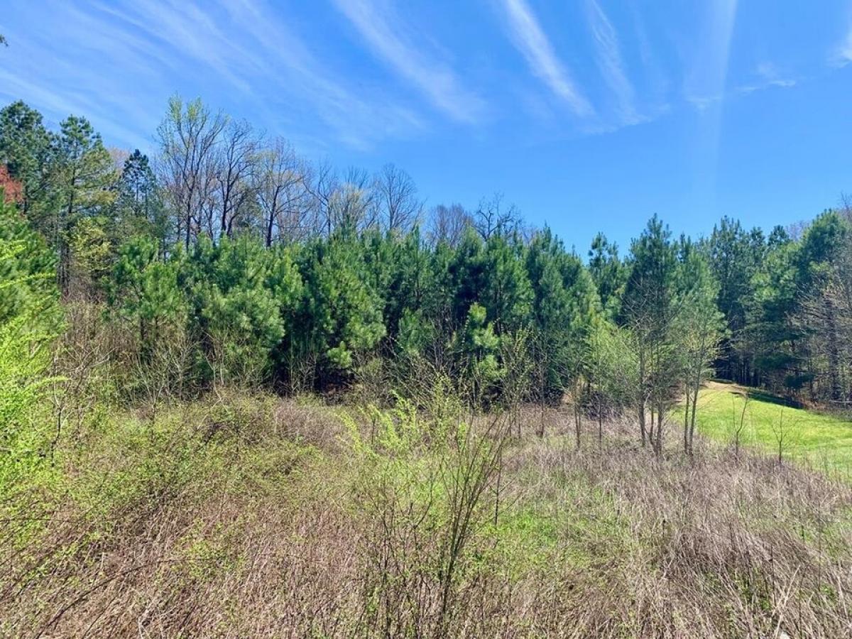 Picture of Residential Land For Sale in Sparta, Tennessee, United States