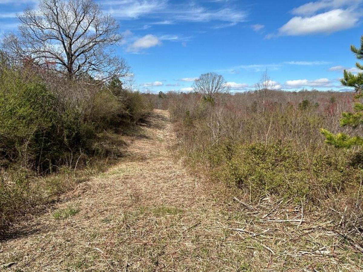 Picture of Residential Land For Sale in Jamestown, Tennessee, United States