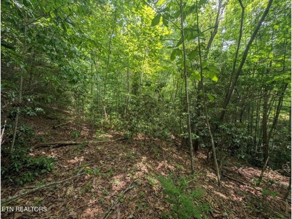 Picture of Residential Land For Sale in Jamestown, Tennessee, United States