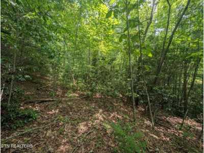 Residential Land For Sale in Jamestown, Tennessee