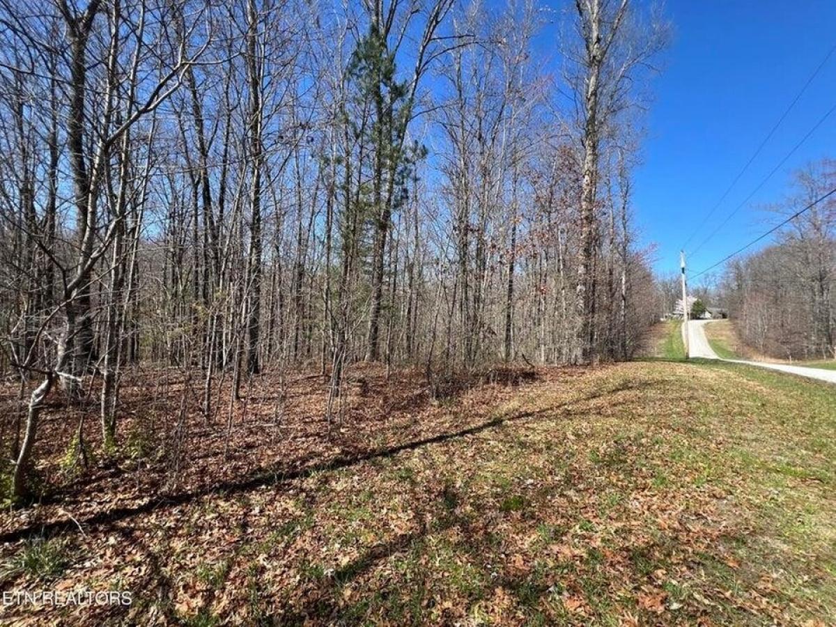 Picture of Residential Land For Sale in Jamestown, Tennessee, United States