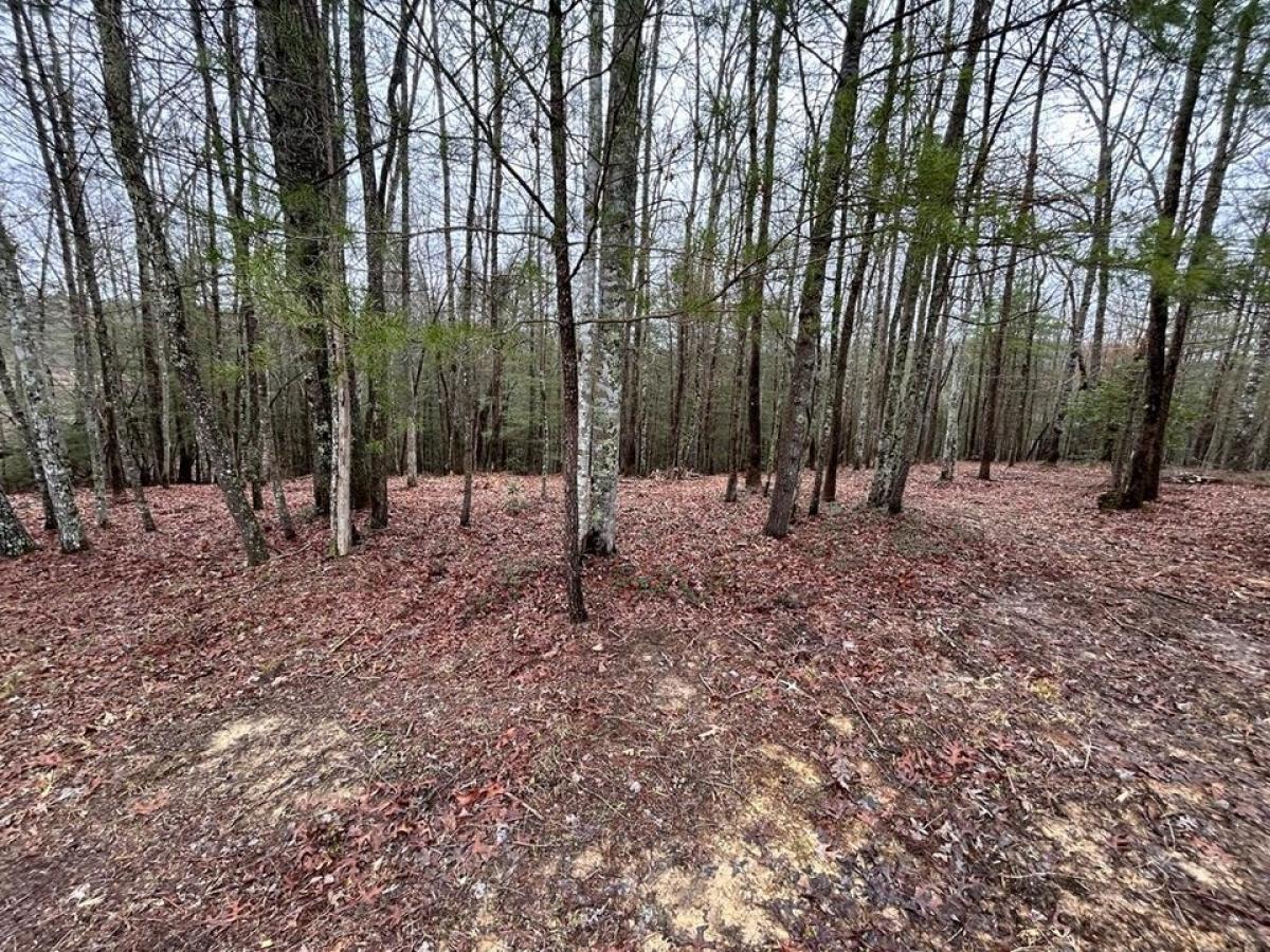 Picture of Residential Land For Sale in Allardt, Tennessee, United States