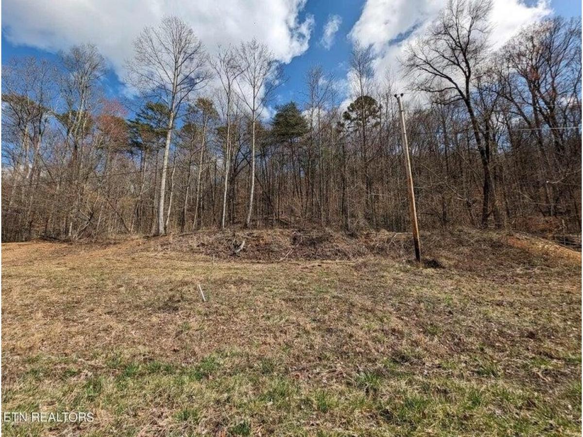 Picture of Residential Land For Sale in Jamestown, Tennessee, United States