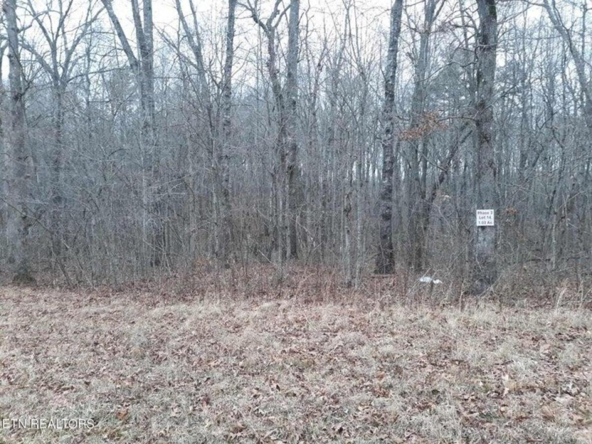 Picture of Residential Land For Sale in Jamestown, Tennessee, United States