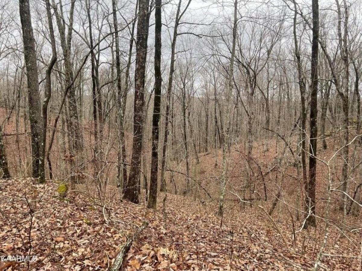 Picture of Residential Land For Sale in Monterey, Tennessee, United States