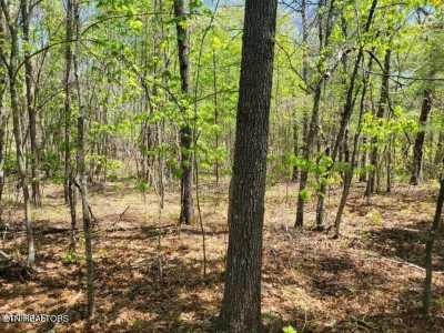 Residential Land For Sale in Deer Lodge, Tennessee