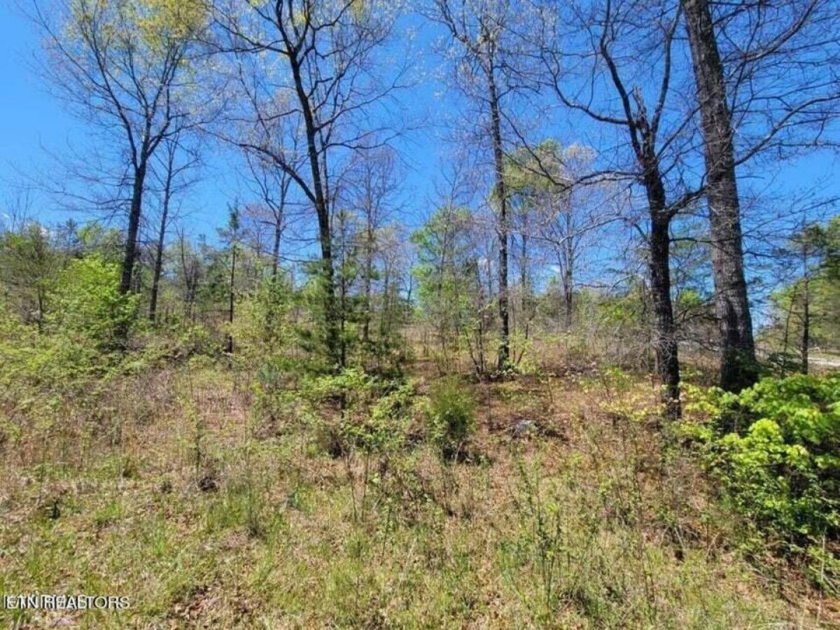 Picture of Residential Land For Sale in Deer Lodge, Tennessee, United States