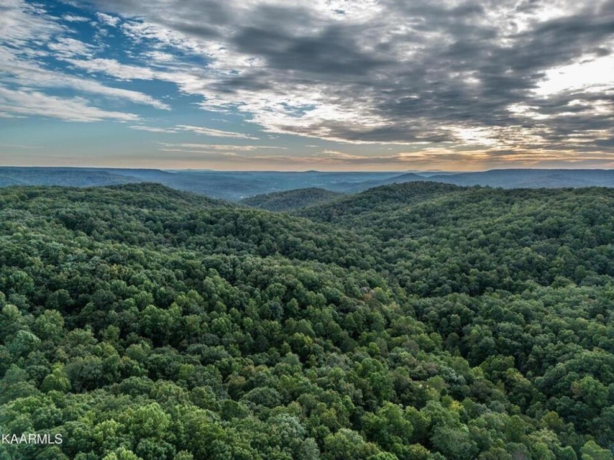 Picture of Residential Land For Sale in Monterey, Tennessee, United States