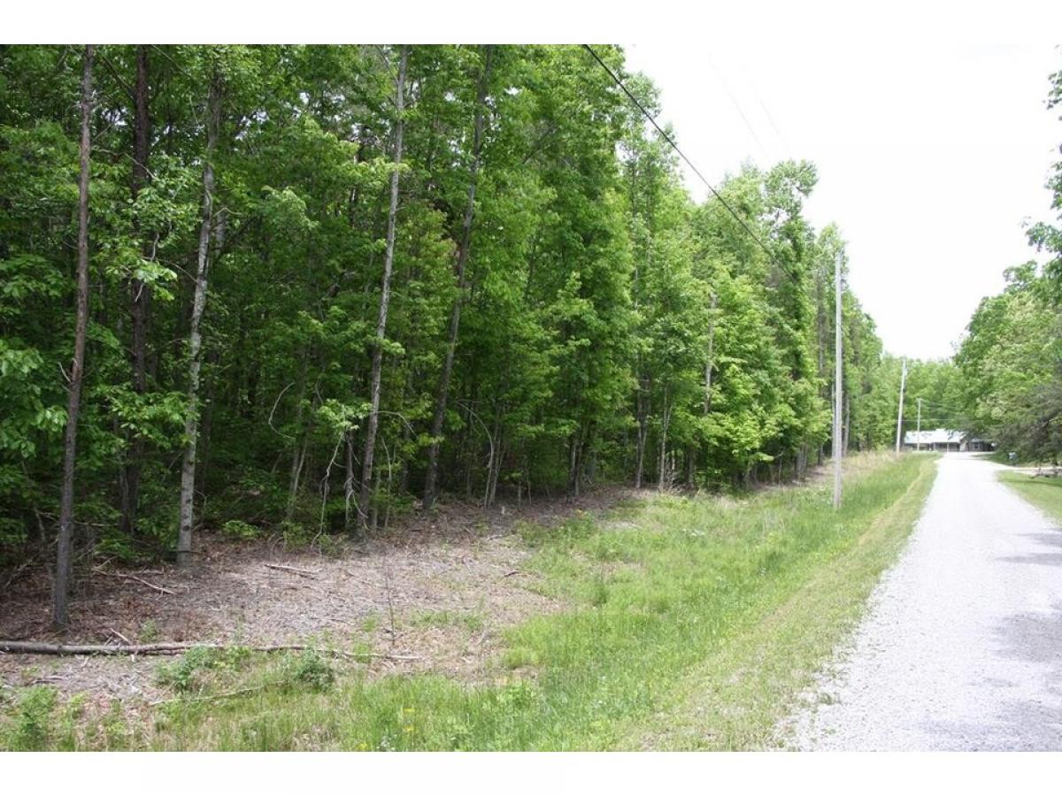 Picture of Residential Land For Sale in Jamestown, Tennessee, United States