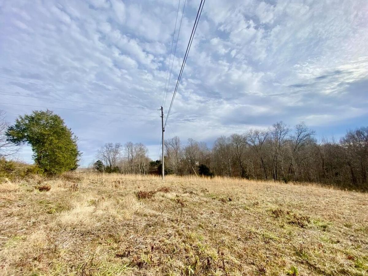 Picture of Residential Land For Sale in Gainesboro, Tennessee, United States