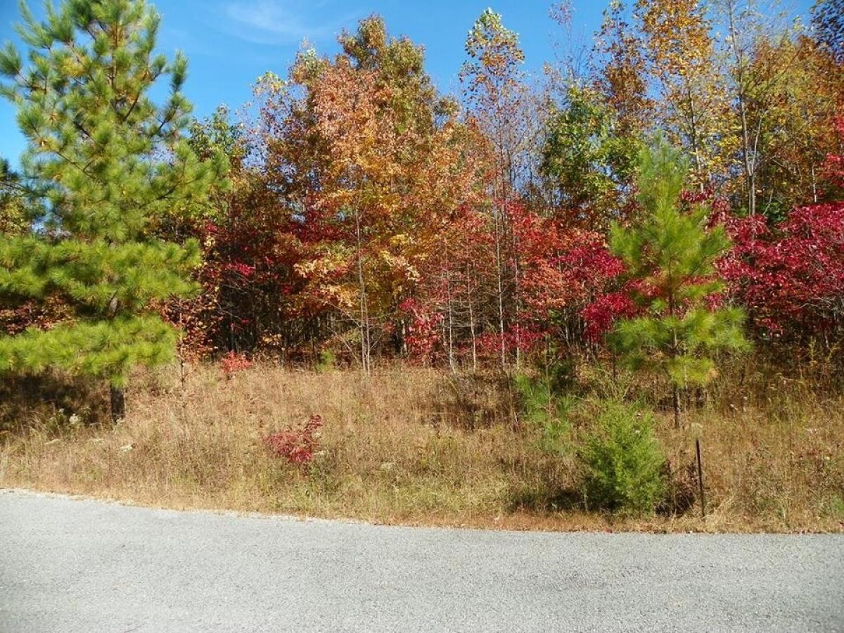 Picture of Residential Land For Sale in Spencer, Tennessee, United States