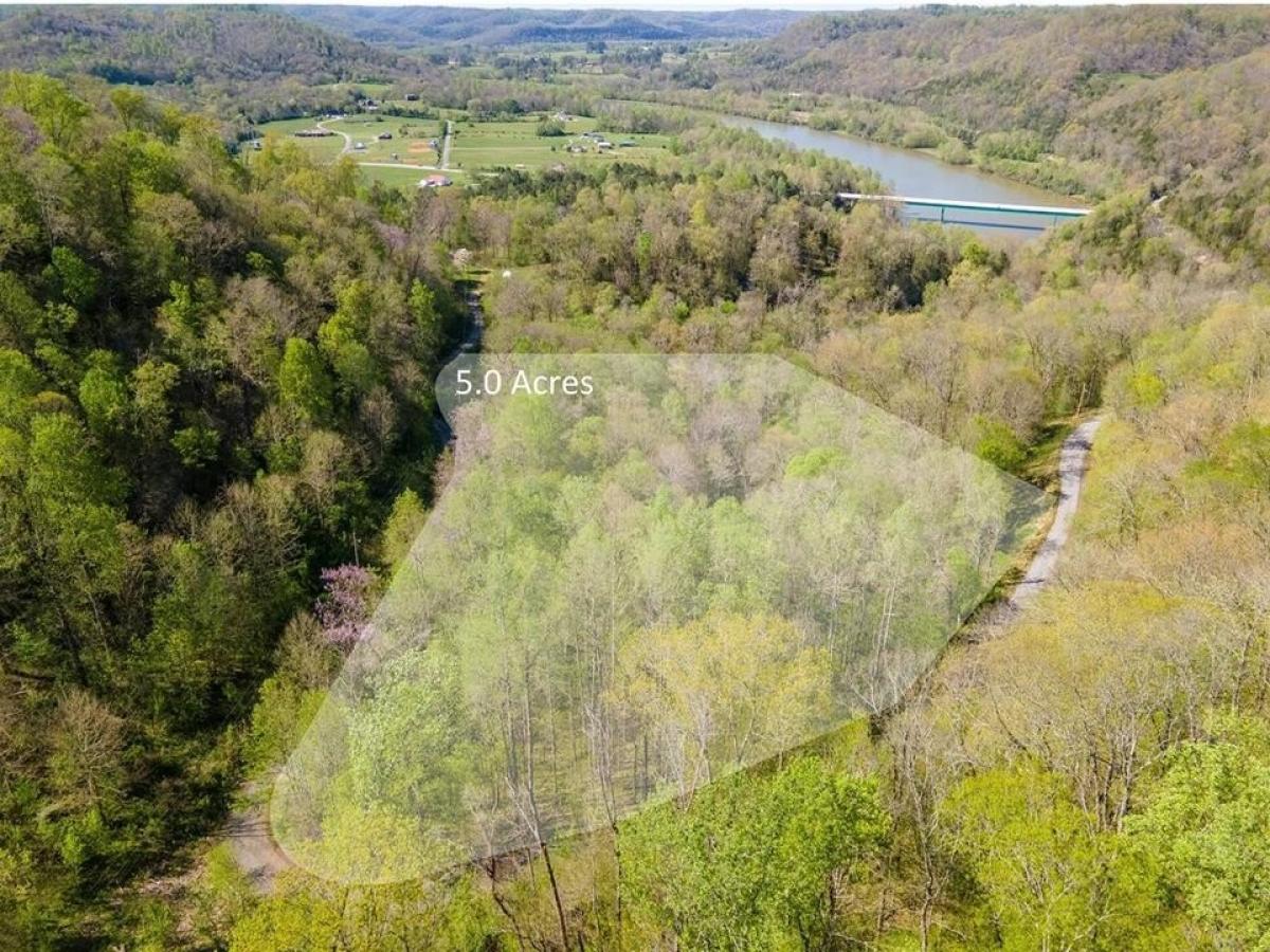 Picture of Residential Land For Sale in Gainesboro, Tennessee, United States