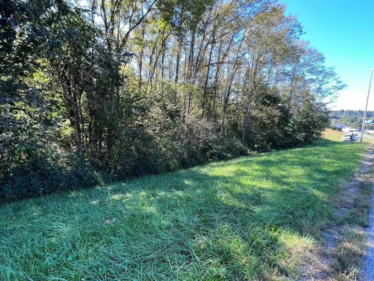 Picture of Residential Land For Sale in Byrdstown, Tennessee, United States