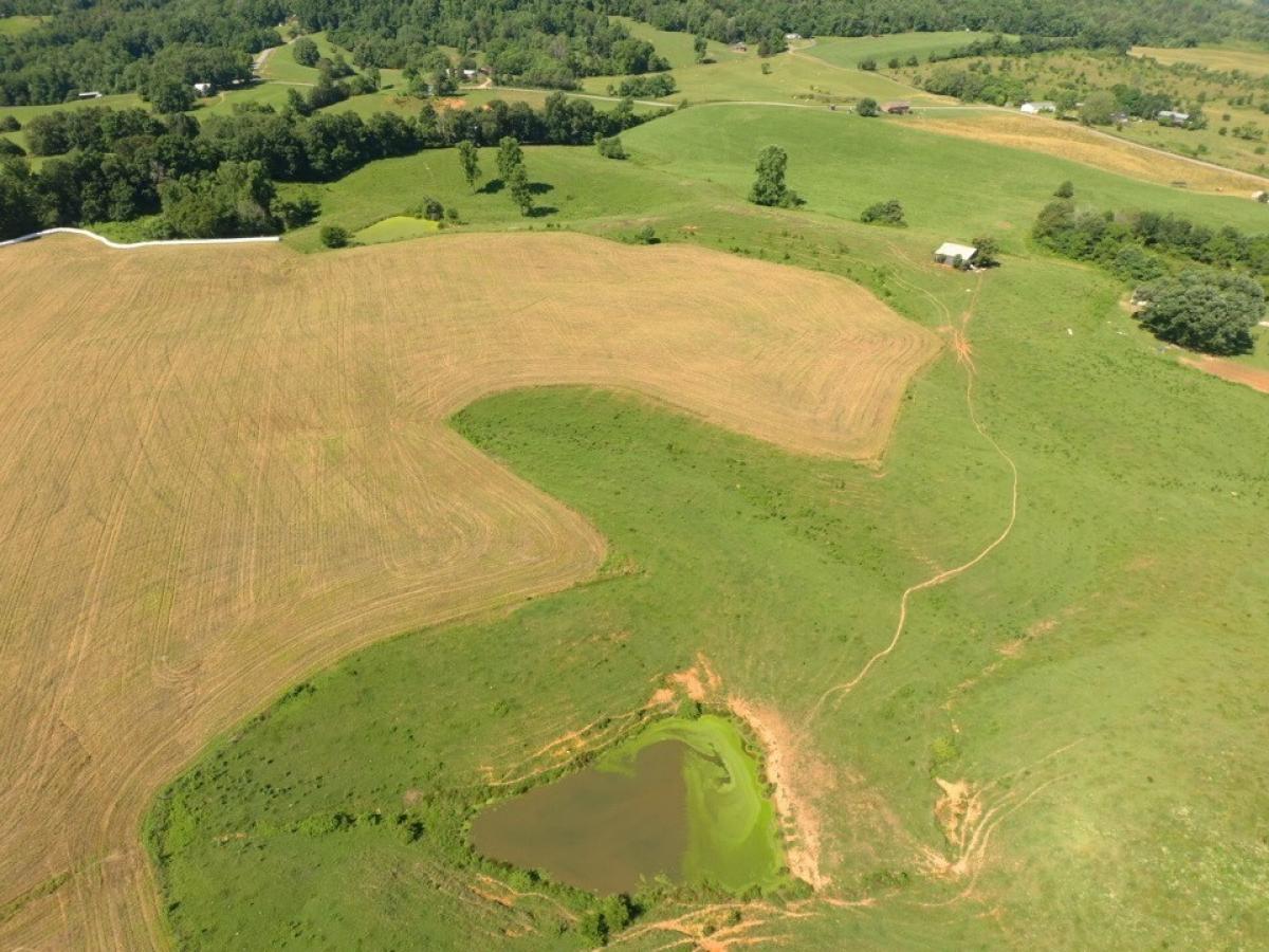 Picture of Residential Land For Sale in Byrdstown, Tennessee, United States