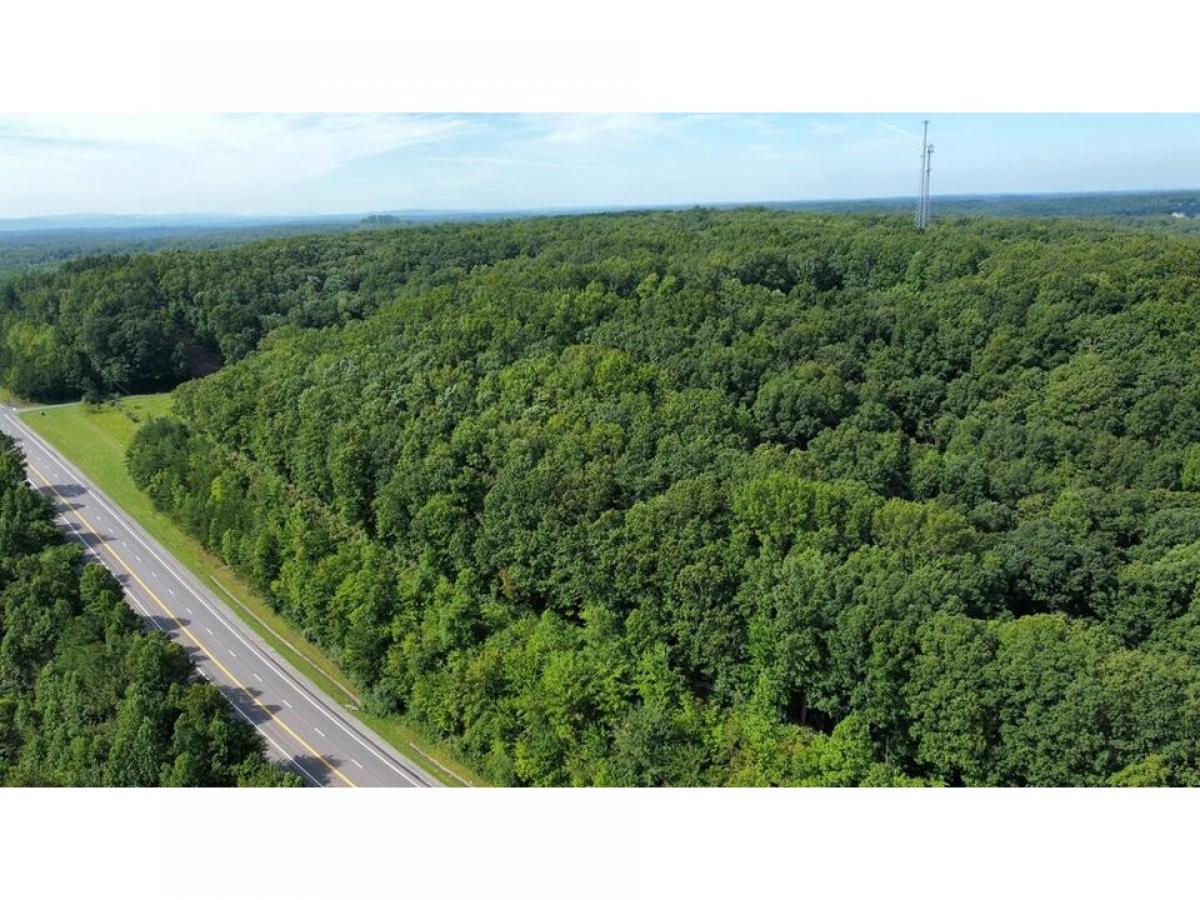 Picture of Residential Land For Sale in Sunbright, Tennessee, United States