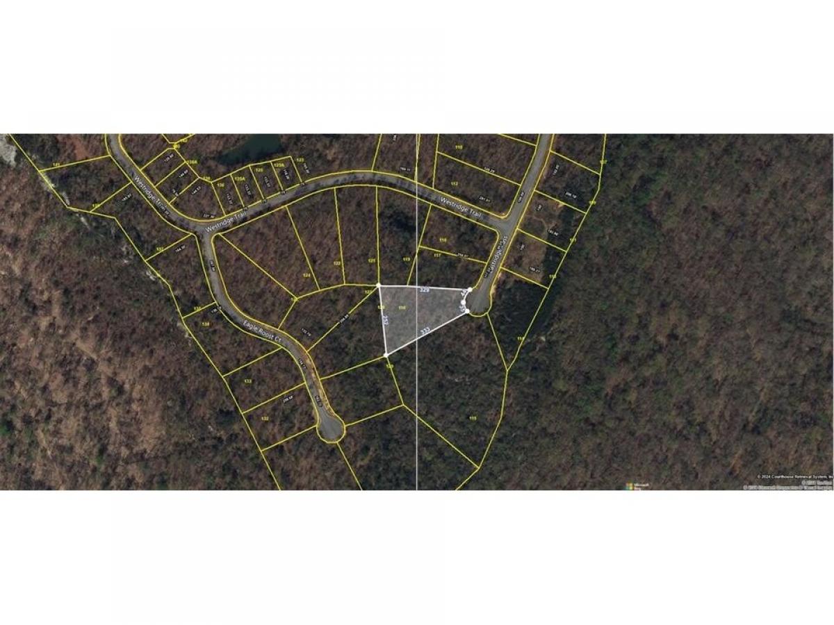 Picture of Residential Land For Sale in Monterey, Tennessee, United States