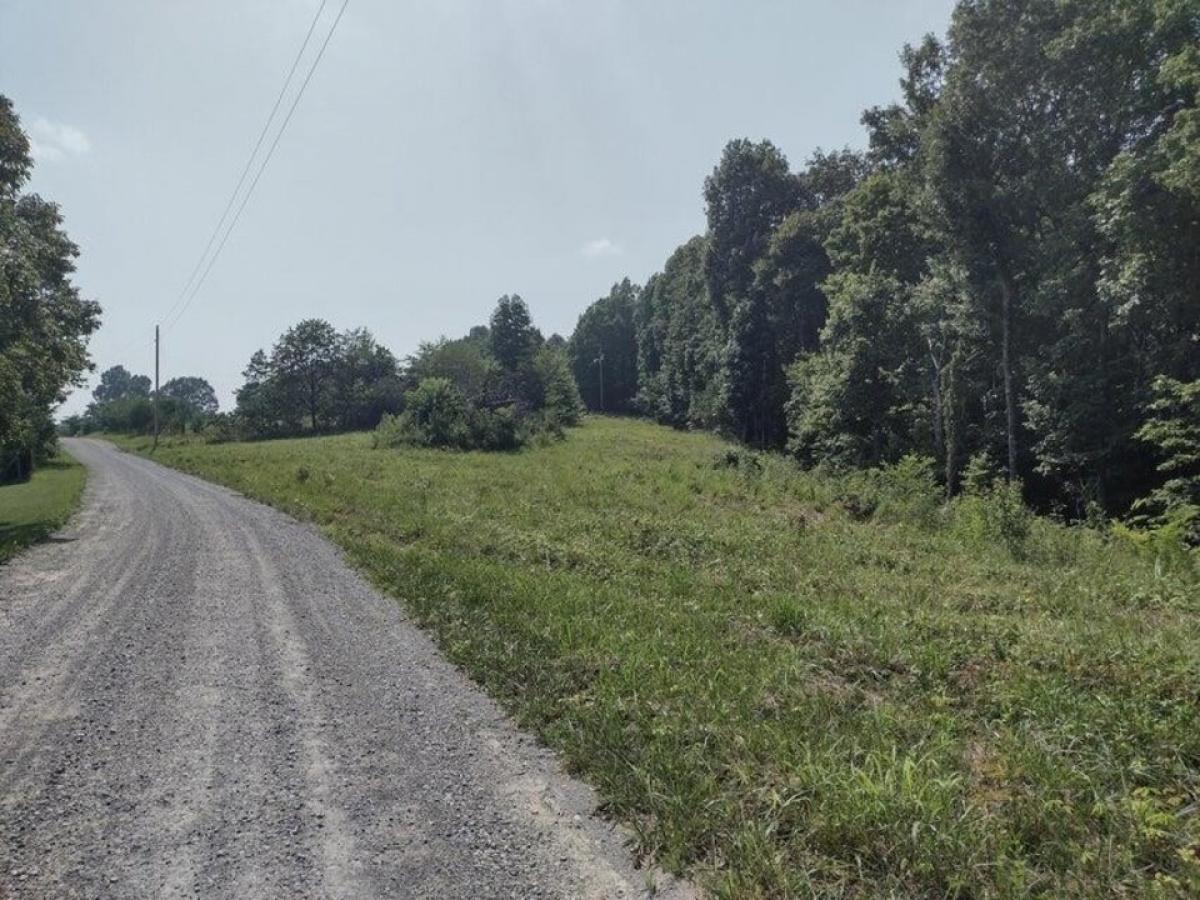 Picture of Residential Land For Sale in Pikeville, Tennessee, United States