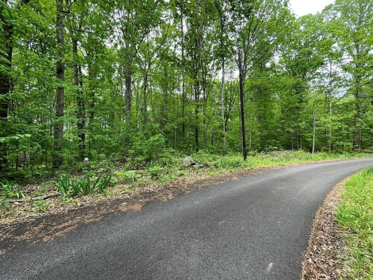 Picture of Residential Land For Sale in Jamestown, Tennessee, United States