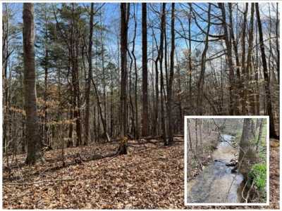 Residential Land For Sale in Hilham, Tennessee