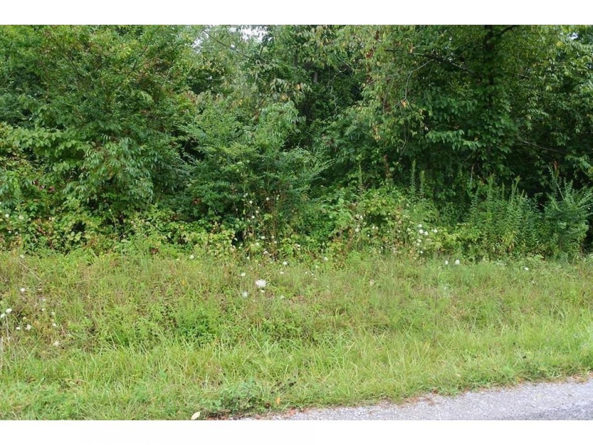 Picture of Residential Land For Sale in Clarkrange, Tennessee, United States