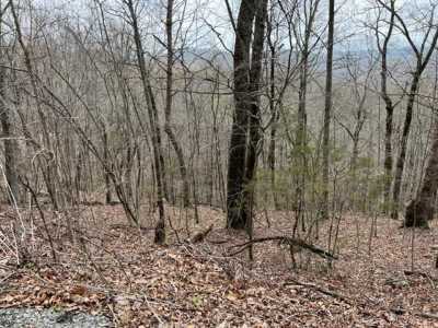 Residential Land For Sale in Allons, Tennessee