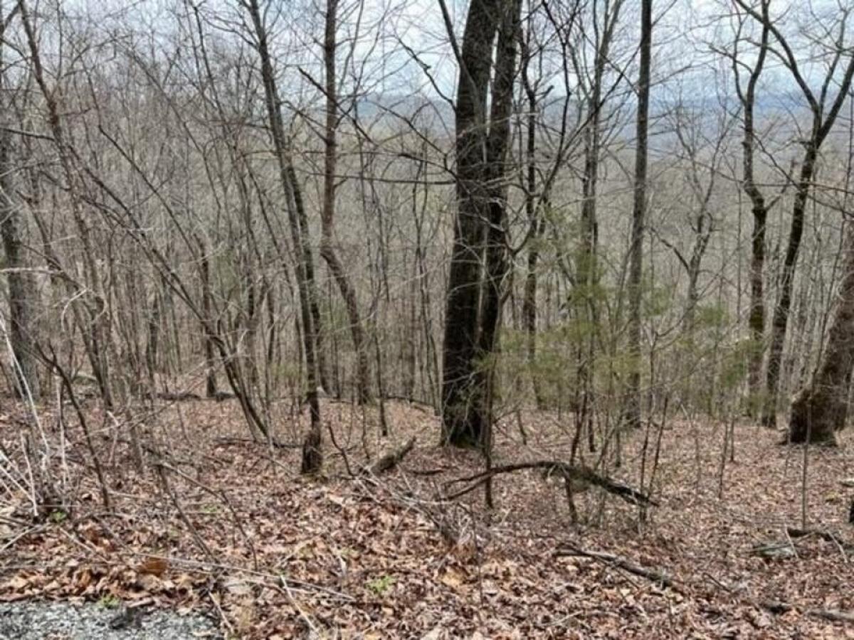 Picture of Residential Land For Sale in Allons, Tennessee, United States