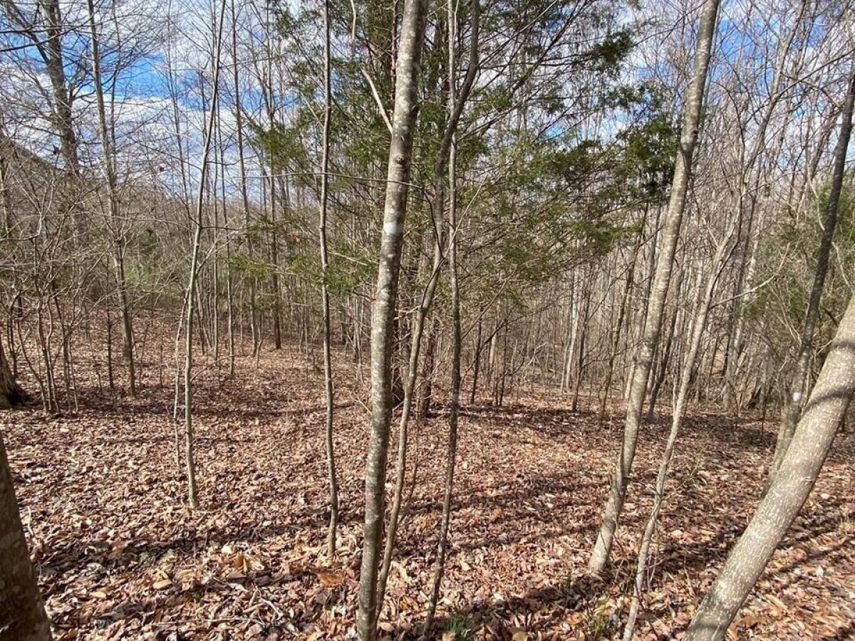 Picture of Residential Land For Sale in Byrdstown, Tennessee, United States