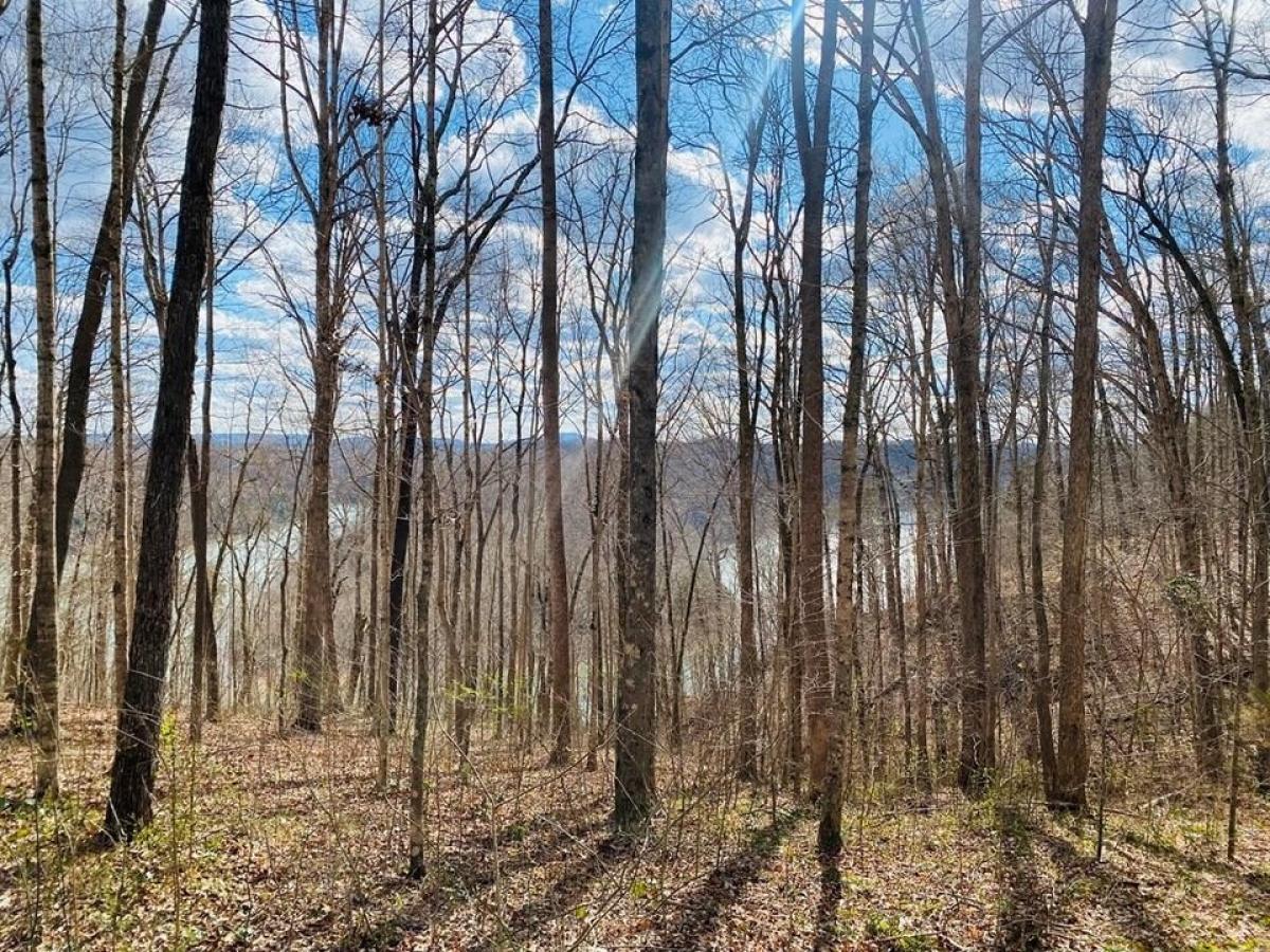 Picture of Residential Land For Sale in Byrdstown, Tennessee, United States