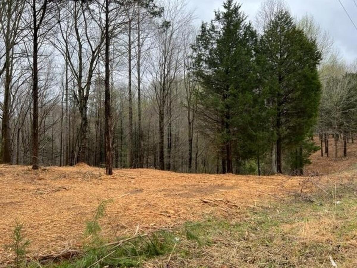 Picture of Residential Land For Sale in Allons, Tennessee, United States