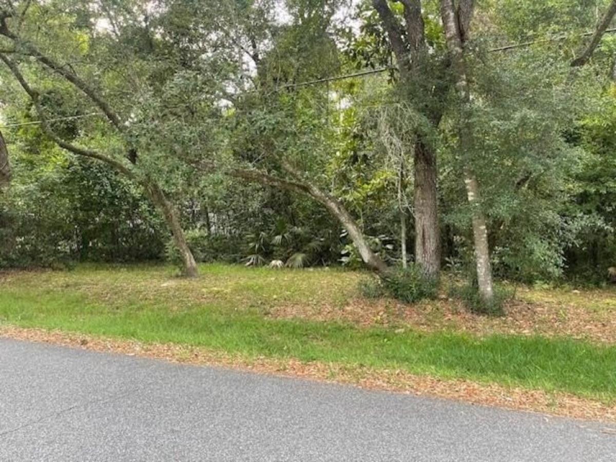 Picture of Residential Land For Sale in Tallahassee, Florida, United States