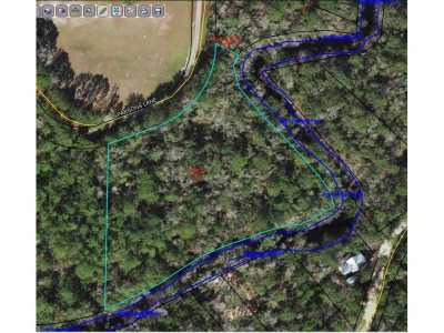 Residential Land For Sale in Sopchoppy, Florida