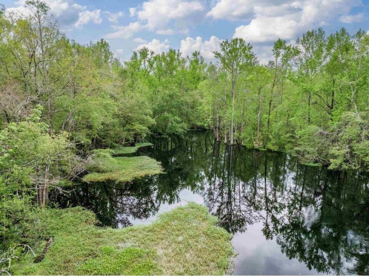 Picture of Residential Land For Sale in Monticello, Florida, United States