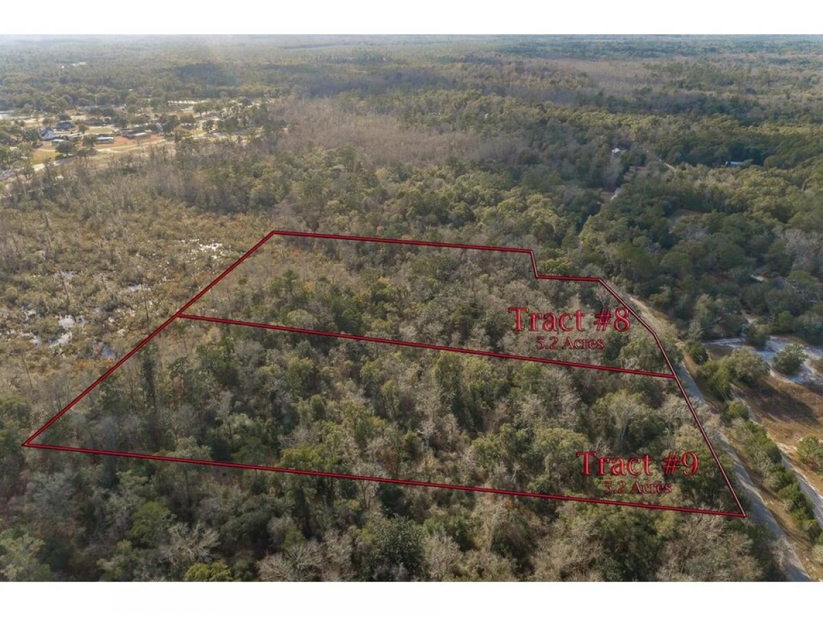 Picture of Residential Land For Sale in Crawfordville, Florida, United States