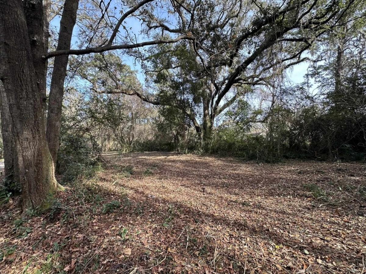 Picture of Residential Land For Sale in Tallahassee, Florida, United States