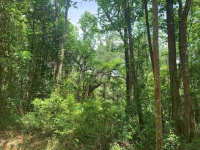 Residential Land For Sale in Tallahassee, Florida