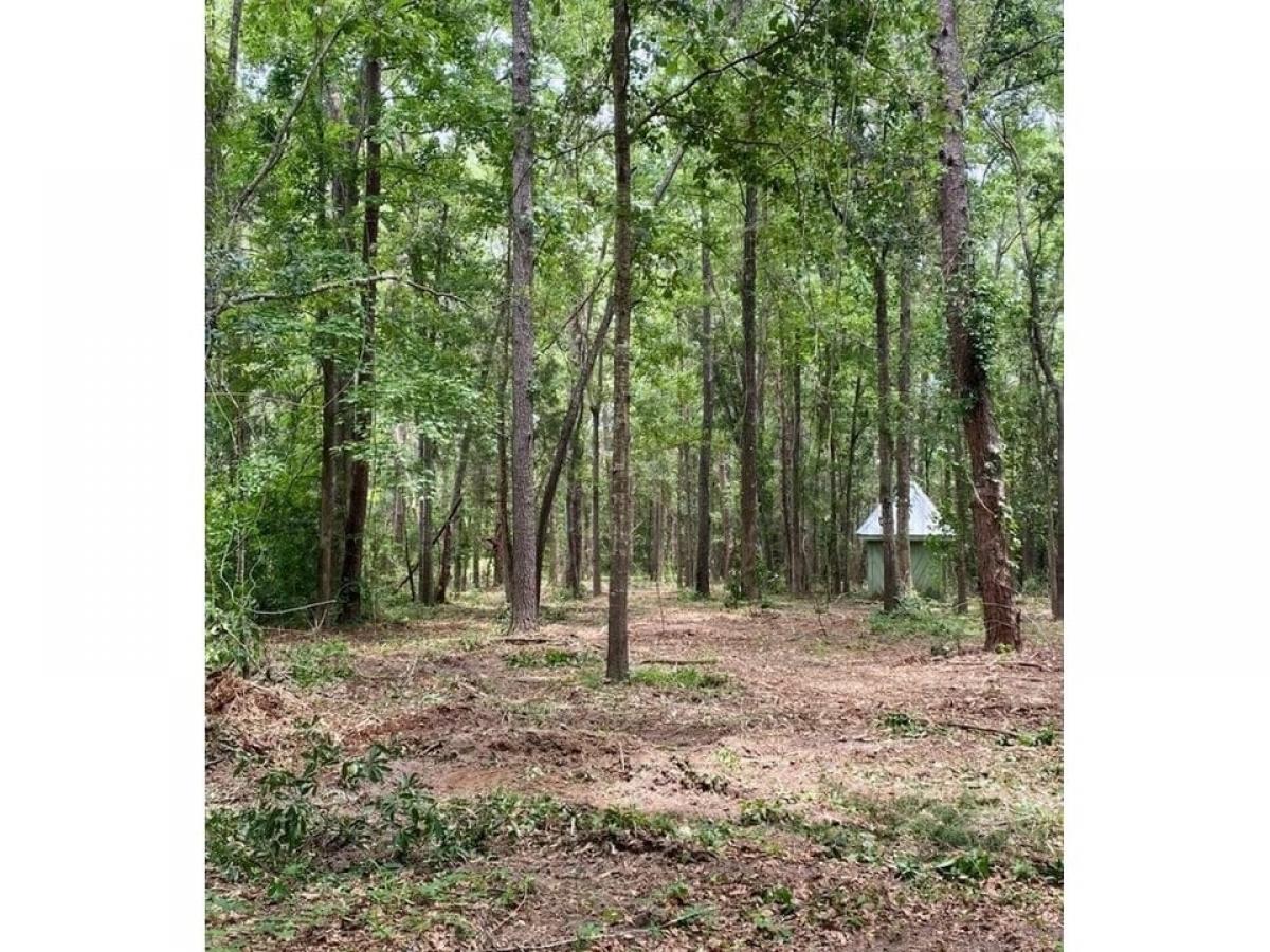 Picture of Residential Land For Sale in Tallahassee, Florida, United States