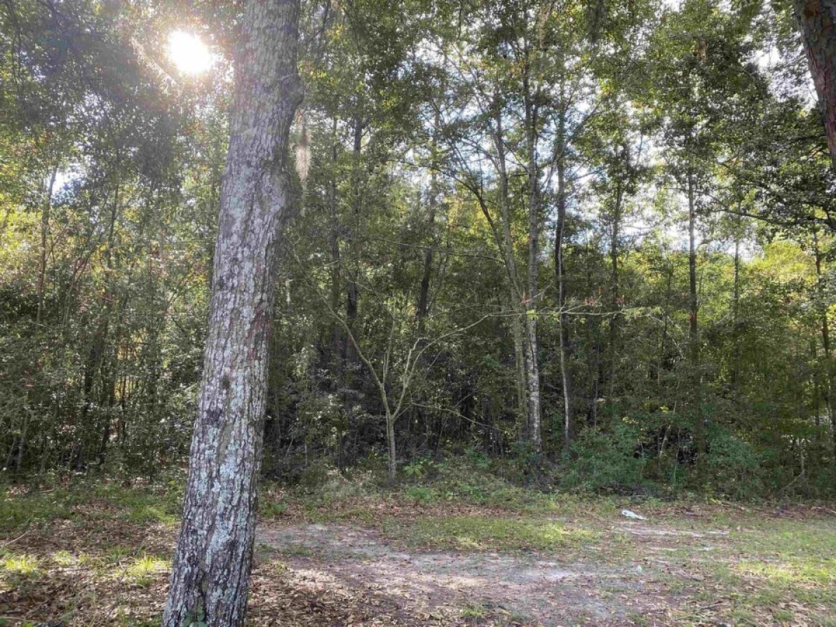 Picture of Residential Land For Sale in Tallahassee, Florida, United States