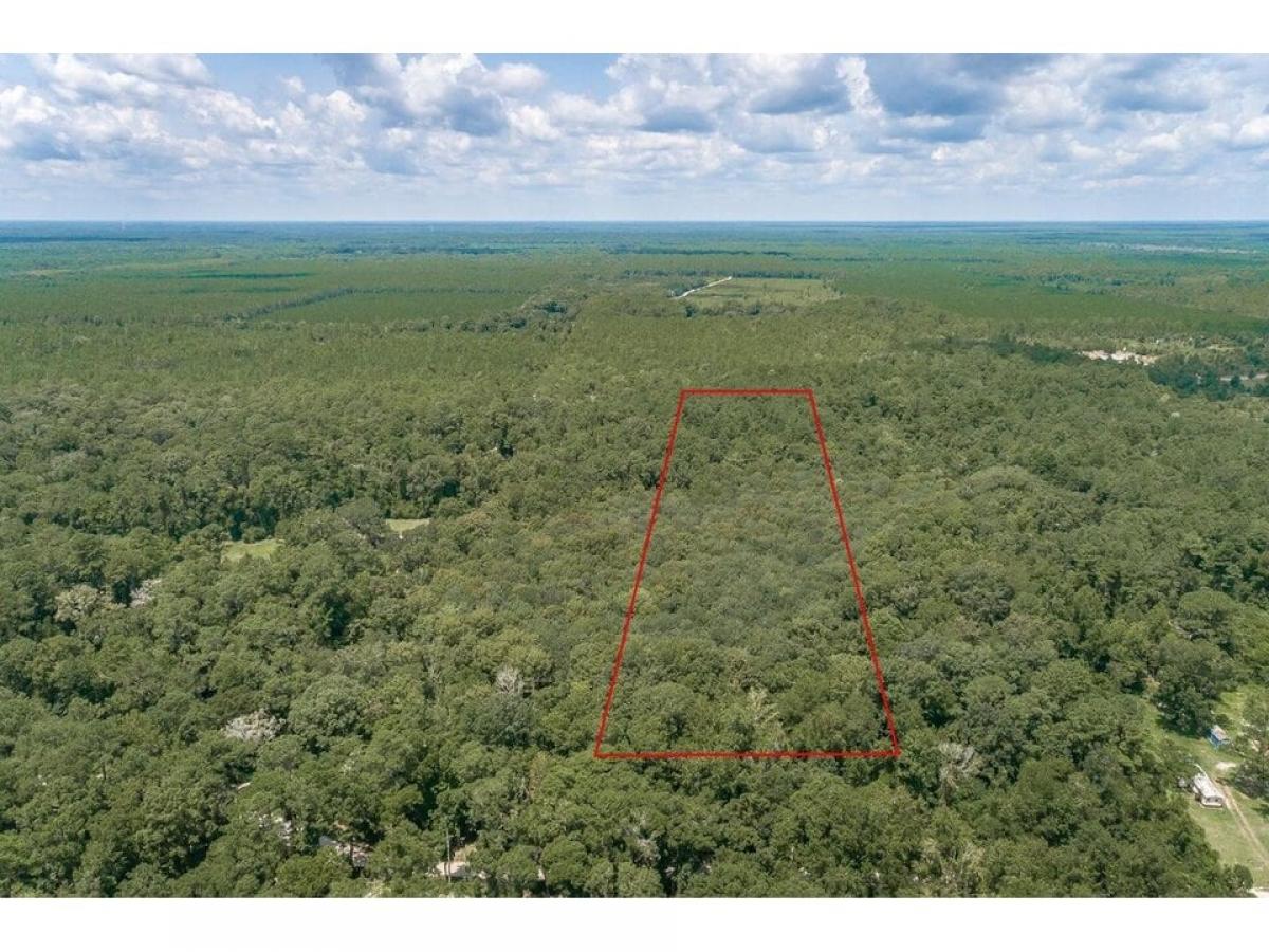 Picture of Residential Land For Sale in Crawfordville, Florida, United States