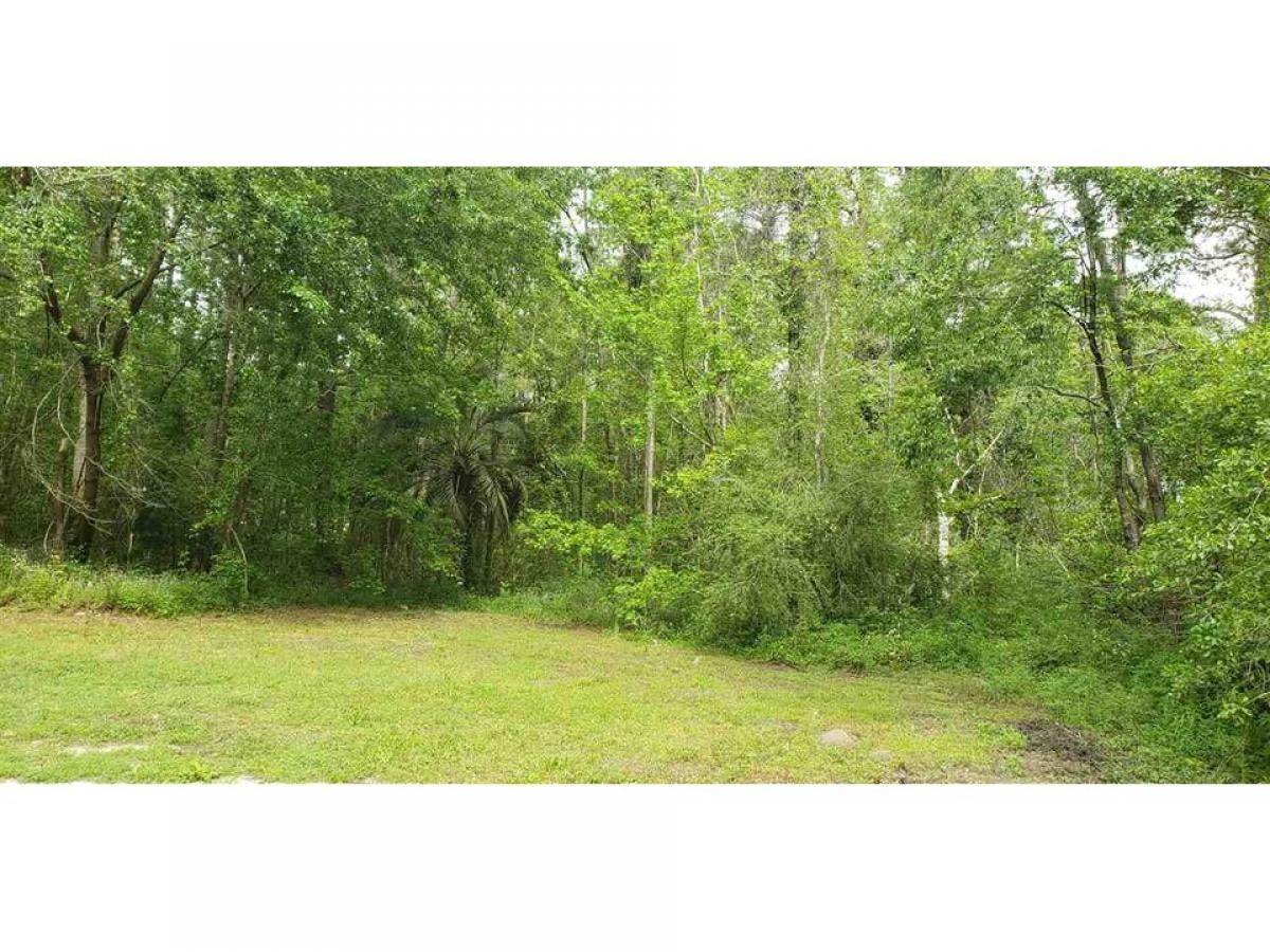 Picture of Residential Land For Sale in Tallahassee, Florida, United States