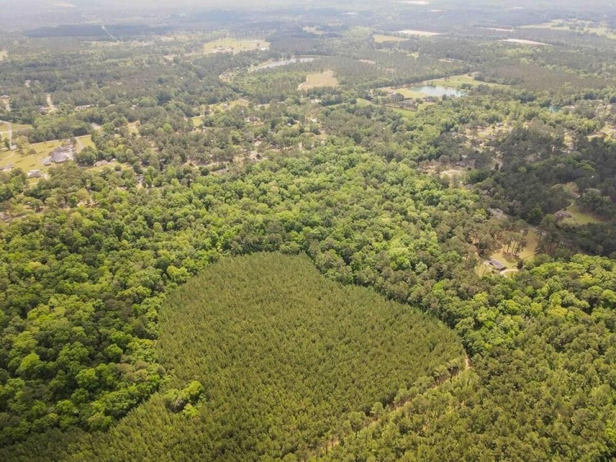 Picture of Residential Land For Sale in Thomasville, Georgia, United States