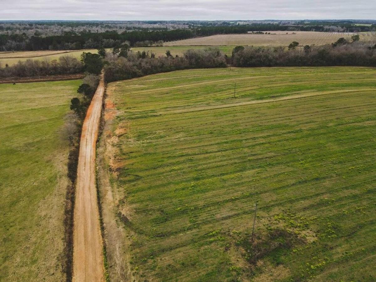 Picture of Residential Land For Sale in Pelham, Georgia, United States