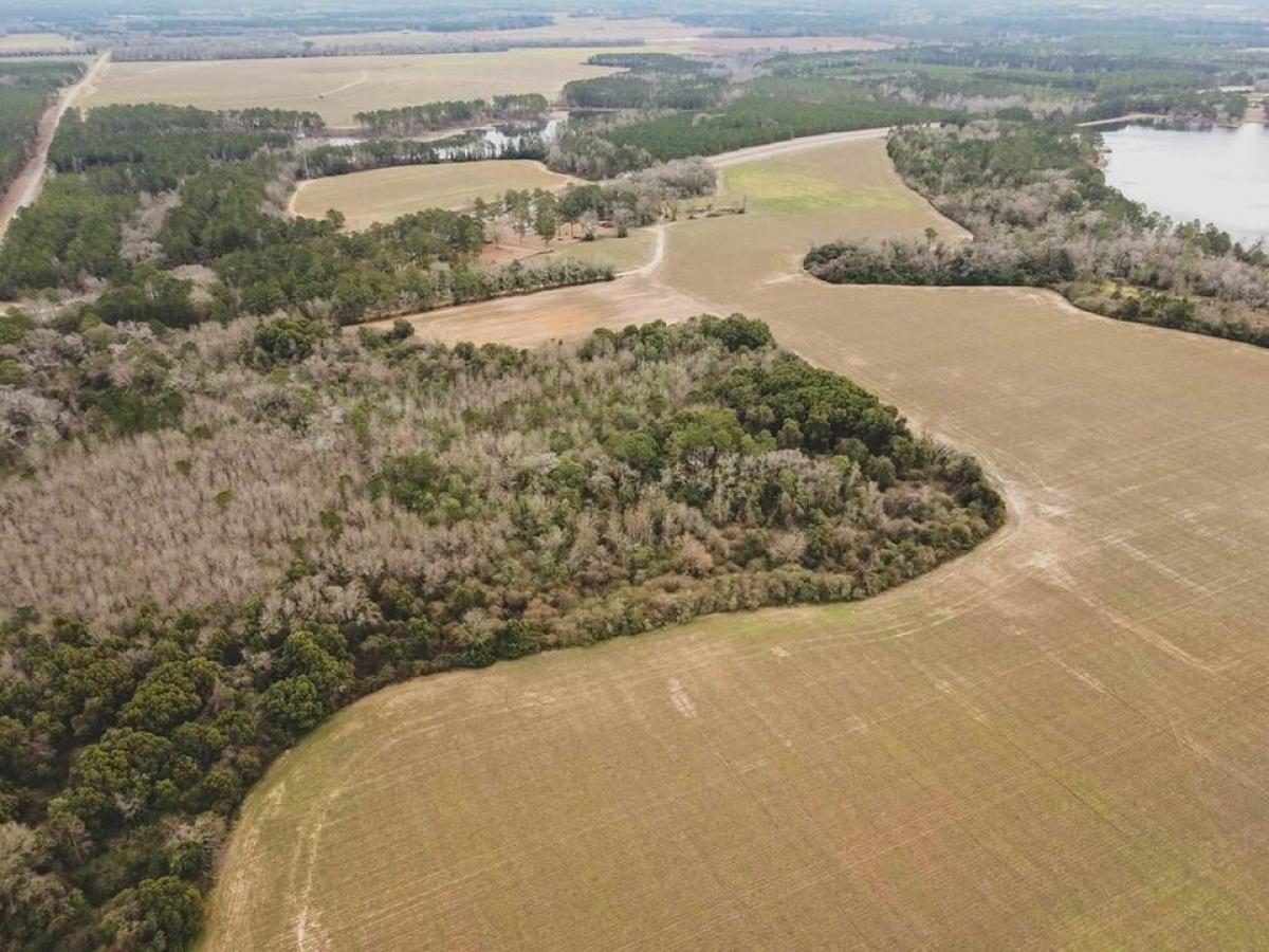 Picture of Residential Land For Sale in Meigs, Georgia, United States