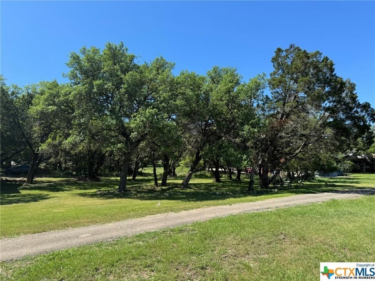 Picture of Residential Land For Sale in Canyon Lake, Texas, United States