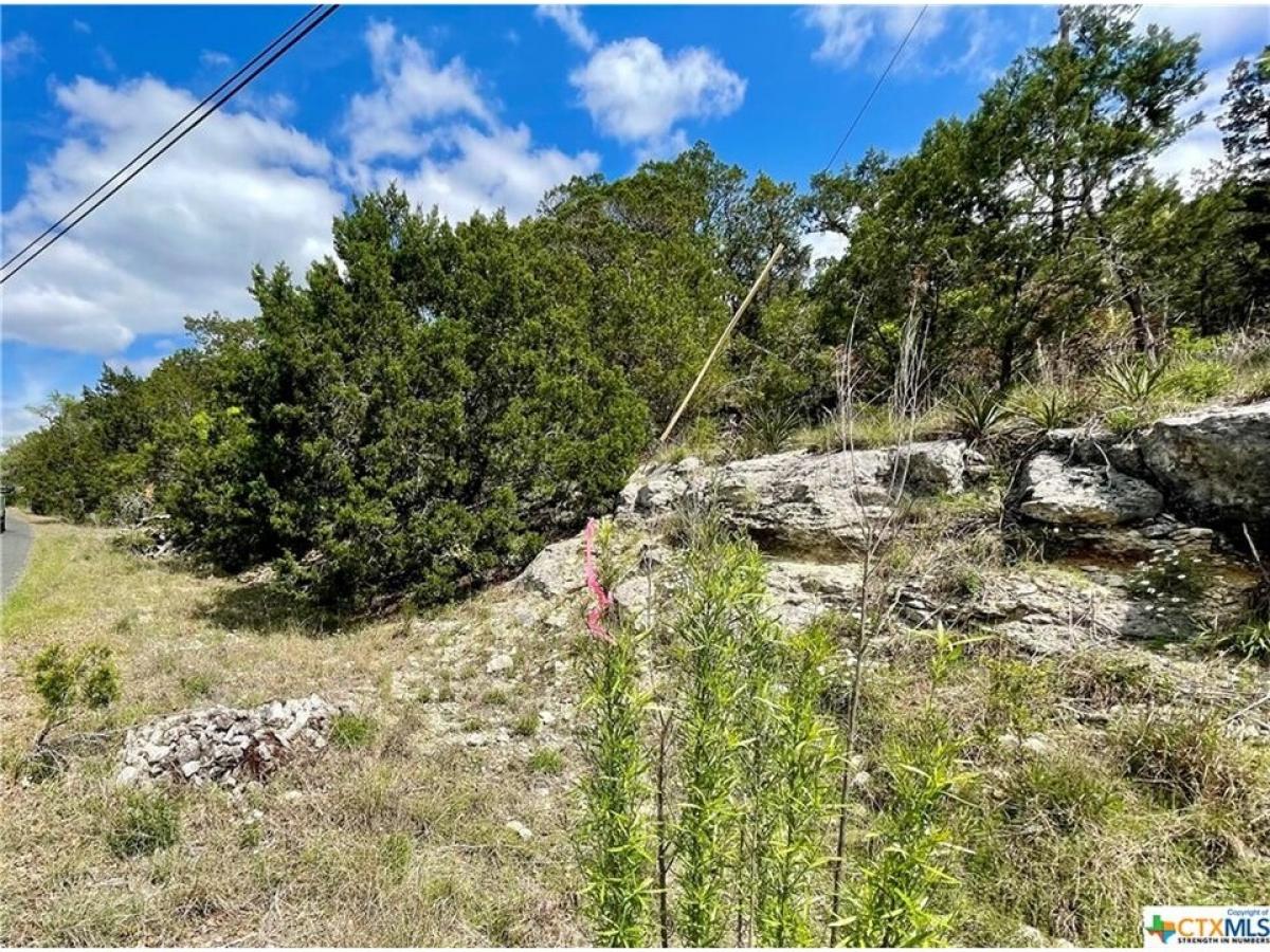 Picture of Residential Land For Sale in Bulverde, Texas, United States